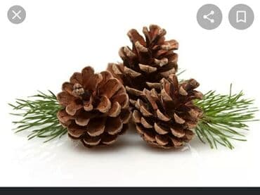 украшение для дворов и садов: Шишки — 4