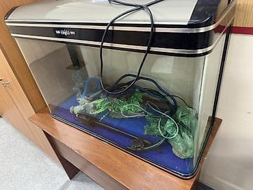 бу аква: Аквариум с крышкой и аксессуарами - Объём ориентировочно 70–90 л — 2