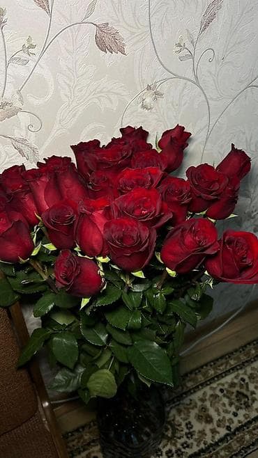Чарбалык товарлар: Срочно продаю букет за такую цену просто даром.Букет из бордовых роз — — 1