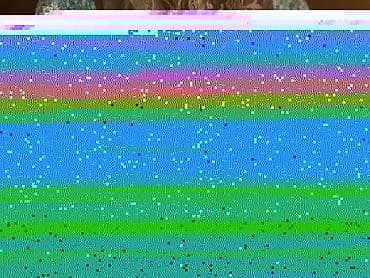 Котята, помёт из 4 малышей. - Окрас: серо-белые (несколько оттенков) — 3