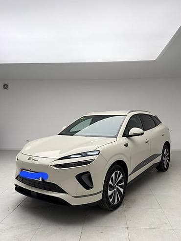 170: BYD Sea Lion 06: 2025 г., 0.1 л, Электромобиль, Внедорожник — 4