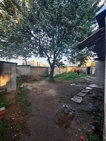 посуточно аламедин: 20 м², 2 бөлмө — 4