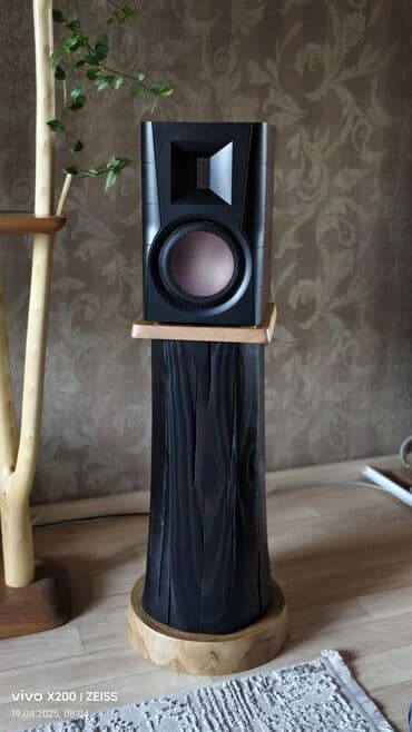 акустические системы портативные колонка череп: Продам активную Акустическую систему HiVi Svan D300. Новая только — 5