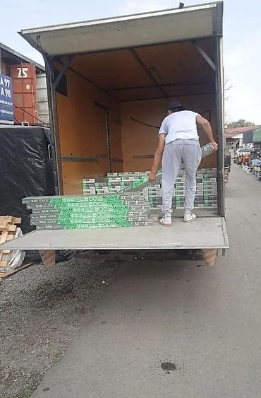 кафел койом: Буйрутма берүү Мерседес жүк ташуучу спринтер, Көчүү, Жүк ташуучу жумушчусу менен — 3