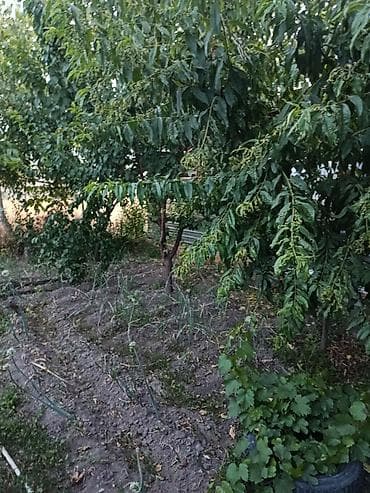 Мебель: Навес/козырёк для двора и парковки - Прочный каркас из деревянных — 7
