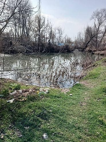 село сасновка: 41 соток, Для бизнеса, Красная книга, Договор купли-продажи — 4