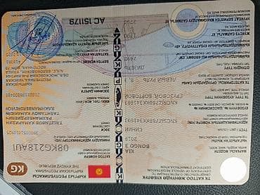 подножки: Легкий грузовик, Kia, Стандарт — 5