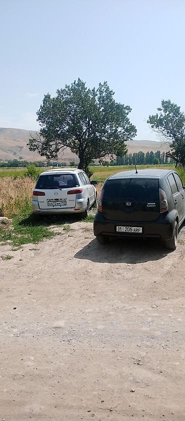 с4 моно: Daihatsu Sirion: 2010 г., Автомат, Бензин, Хэтчбэк — 1