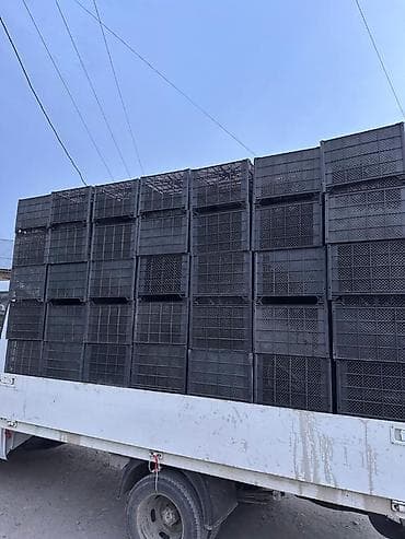 сетка ящик: Пластиковый Ящик — 2