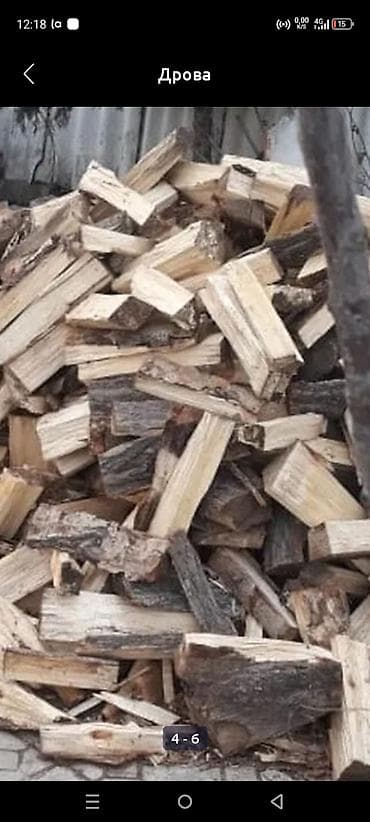 Үй жана бакча: Отун — 10