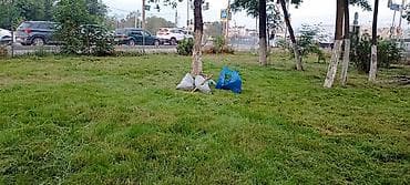 ремонт касилка: Уборка территории, Стрижка газона — 2