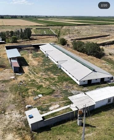 ноокат дом: Сатам Кой короо, 45 соток, Иштеп жаткан — 2