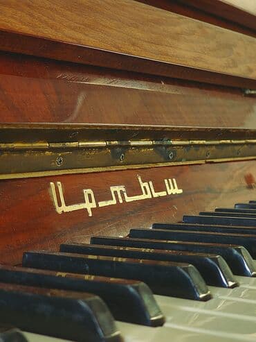 купить пианино детское: В хорошем состоянии. Нужна настройка, и пару клавиш зависает. Торг — 6