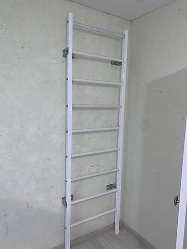 Шведская стенка (настенная). Полностью металлическая, Особо не