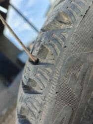 дордой шина: Шины — 3