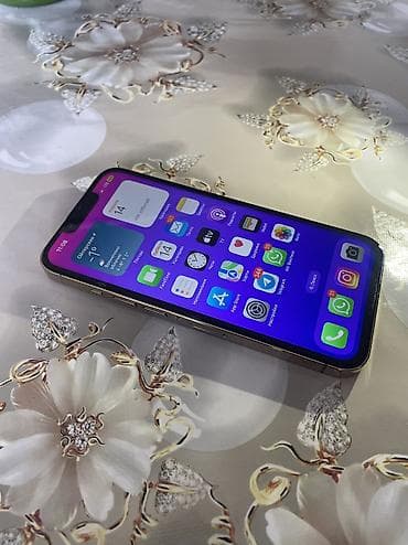ноутбук цена ош: IPhone 13 Pro, Колдонулган, 128 ГБ, Алтын, Заряддоочу түзүлүш, Коргоочу айнек, Каптама, 100 % — 3