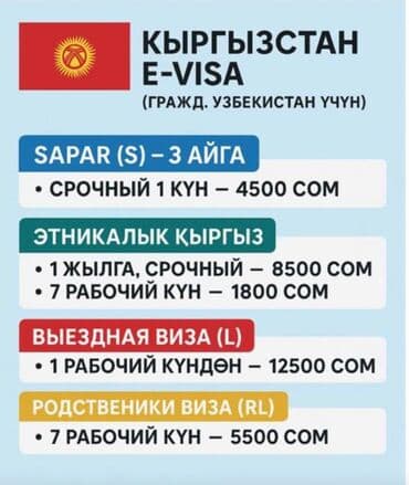 кафель ош: Оформление виз и туристические услуги Киргизия E‑VISA для граждан — 10
