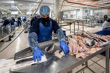 швеи аламедин 1: Упаковщица/фасовщица (упаковщик/фасовщик) - Компания: “OOO Балтийский — 1