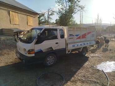 дополнительное освещение на авто: Легкий грузовик, Hyundai, Стандарт, 3 т, Б/у — 9