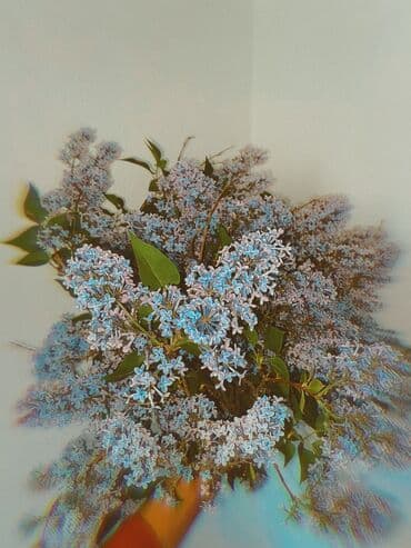 СТО, автобизнес: Срочно ищу Работу❗️ Администратор, Хостес, Модель в магазин Мне 21 — 1