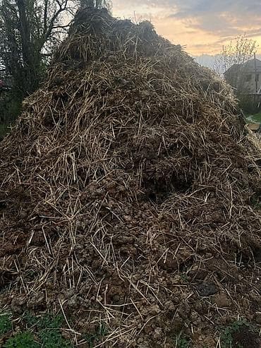 оптом эт: Навоз — 1