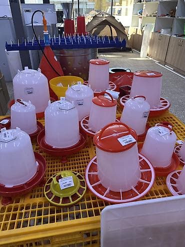 scottish fold: Кормушка бункерная 1,5 кг 3кг 6 кг 8 кг 10 кг Поилка бункерная 1 л — 4