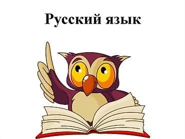 Ищу работу учителем русского языка и литературы