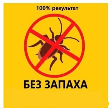 дезинфекция дома от клопов ош: Дезинфекция, дезинсекция, | Тараканы, Вирусы, микробы, Обработка деревьев, | Офисы, Квартиры, Дома — 1