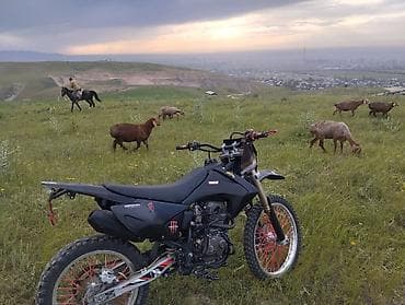 мотор мотоцикл: Эндуро Zongshen, 250 куб. см, Бензин, Взрослый, Новый — 1