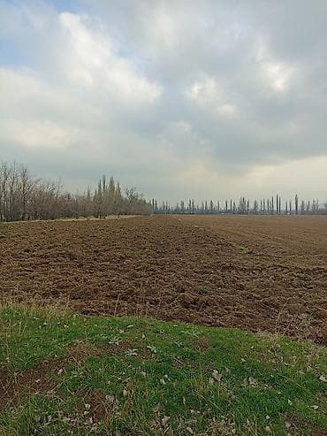 120 соток Для сельского хозяйства