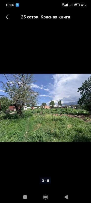 дом на день рождения: 25 соток, Для бизнеса, Красная книга, Тех паспорт, Договор купли-продажи — 6