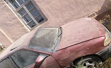 купить опель вектра б: Opel Astra: 1992 г., 1.8 л, Механика, Бензин, Хэтчбэк — 1