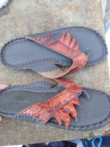 шлепка: Шлепанцы кожа крокодила,39 р 0/508/01/35/95 — 3