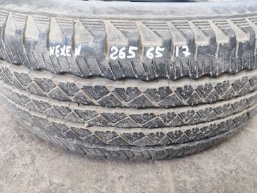 шины дордой моторс: Резина Nexen Roadian 265 65 R17 В наличии только 1 баллон. См. Фото — 3