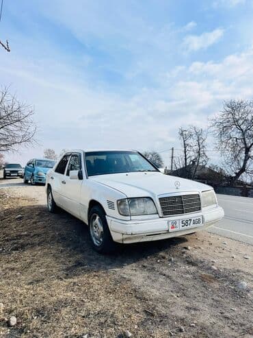 оборудование автомойка: Mercedes-Benz W124: 1994 г., 2.5 л, Автомат, Дизель — 2