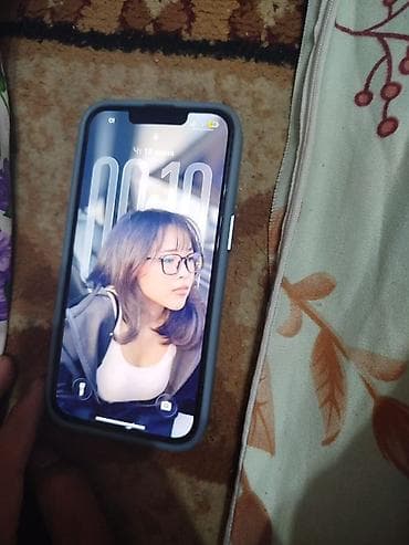 IPhone 13 Pro, Чехол