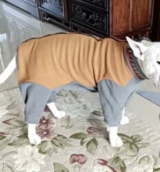 купить рабочую охотничью собаку: Комбинезон флисовый для собак. Одевали несколько раз. (Не подошел — 9