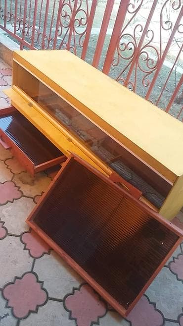 Собаки: Брудеры для цыплят. размеры 150 х 50 х 65 см. Яйцо Брама — 6