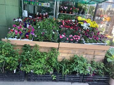 оборудование для магазина бу: Подставка для фруктов — 6