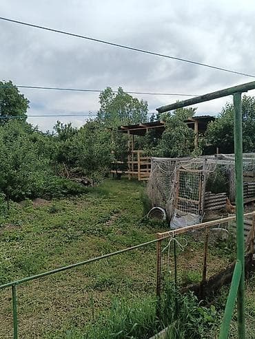 рассрочка от 17: Дом с приусадебным участком для ведения хозяйства. - Одноэтажный — 2