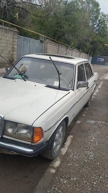 Mercedes-Benz W123: 1982 г., 2.3 л, Кол менен иштөөчү, Бензин, Седан — 3