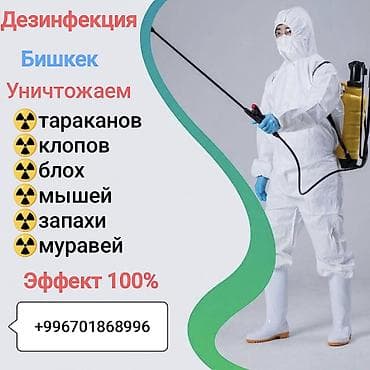 Клининговые услуги: Дезинфекция, дезинсекция, | Блохи, | Квартиры — 1