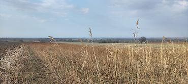 продаю участки: 100 соток, Для сельского хозяйства, Красная книга, Тех паспорт — 3