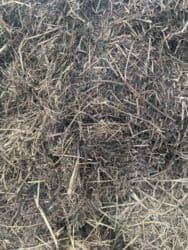 наполнитель для животных: Продаю, Сенаж Силос мелкого дробление, с зерноми грузим трактором — 5