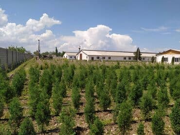 оборудование для пенобетона: Бурение скважин Больше 6 лет опыта — 9