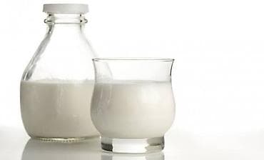 Натуральное верблюжье молоко — сила природы в каждом глотке 🐪🥛 100%