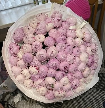 букет бабочки: Пышный букет пионов нежно-розовой гаммы. 81 штук — 1