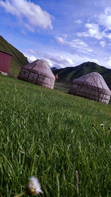 дом в бишкеке: Кымызолечение .Кочкор 3 разовое питание кобылье молоко, самал — 2