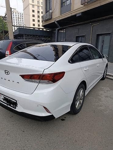 3д коврики: Hyundai Sonata: 2019 г., 0.2 л, Автомат, Газ, Седан — 2