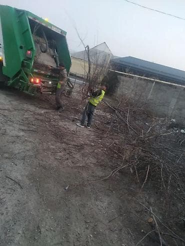 уборка в огороде: Уборка территории, Уборка двора и сада — 8